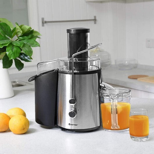 2 Speed Electric Juice Press for Fruit and Vegetable - Color: Silver